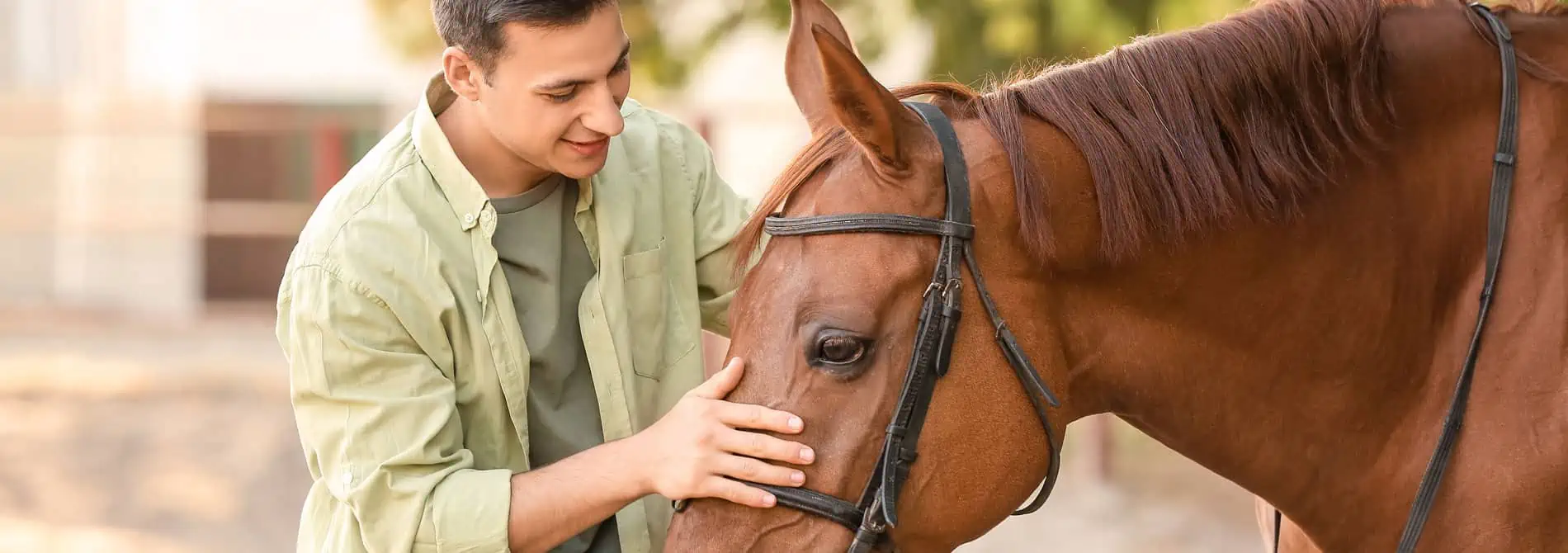 Man petting horse